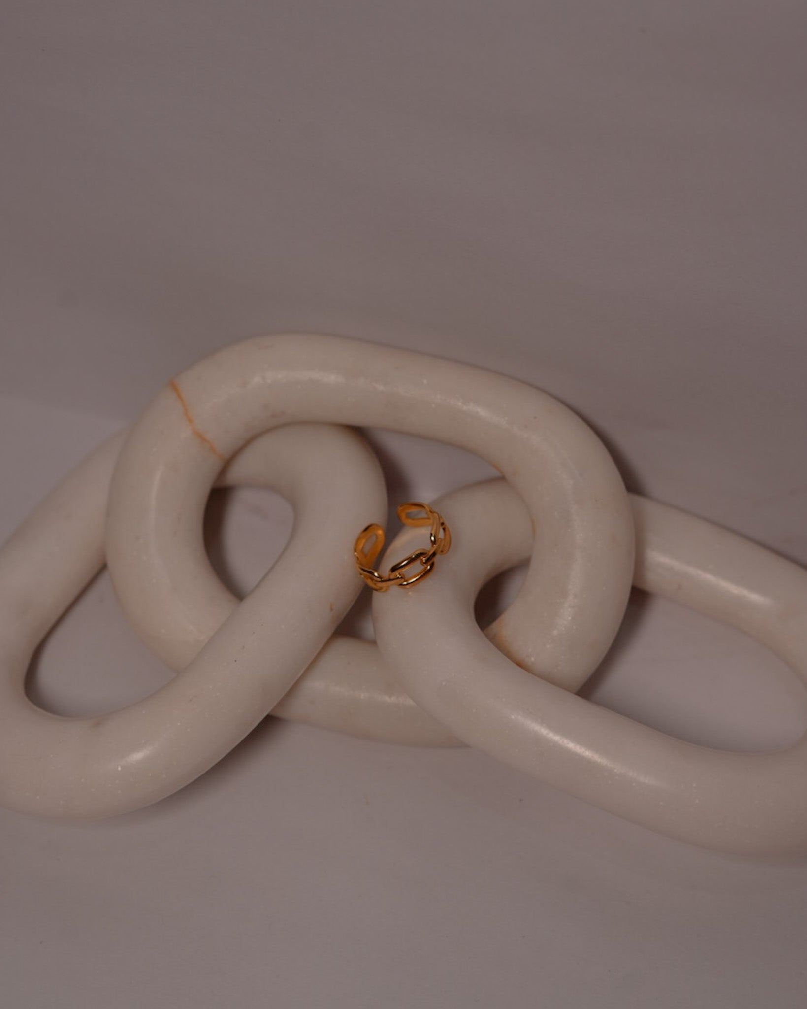 Chain Ring