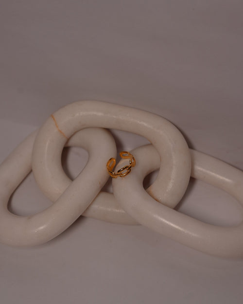 Chain Ring