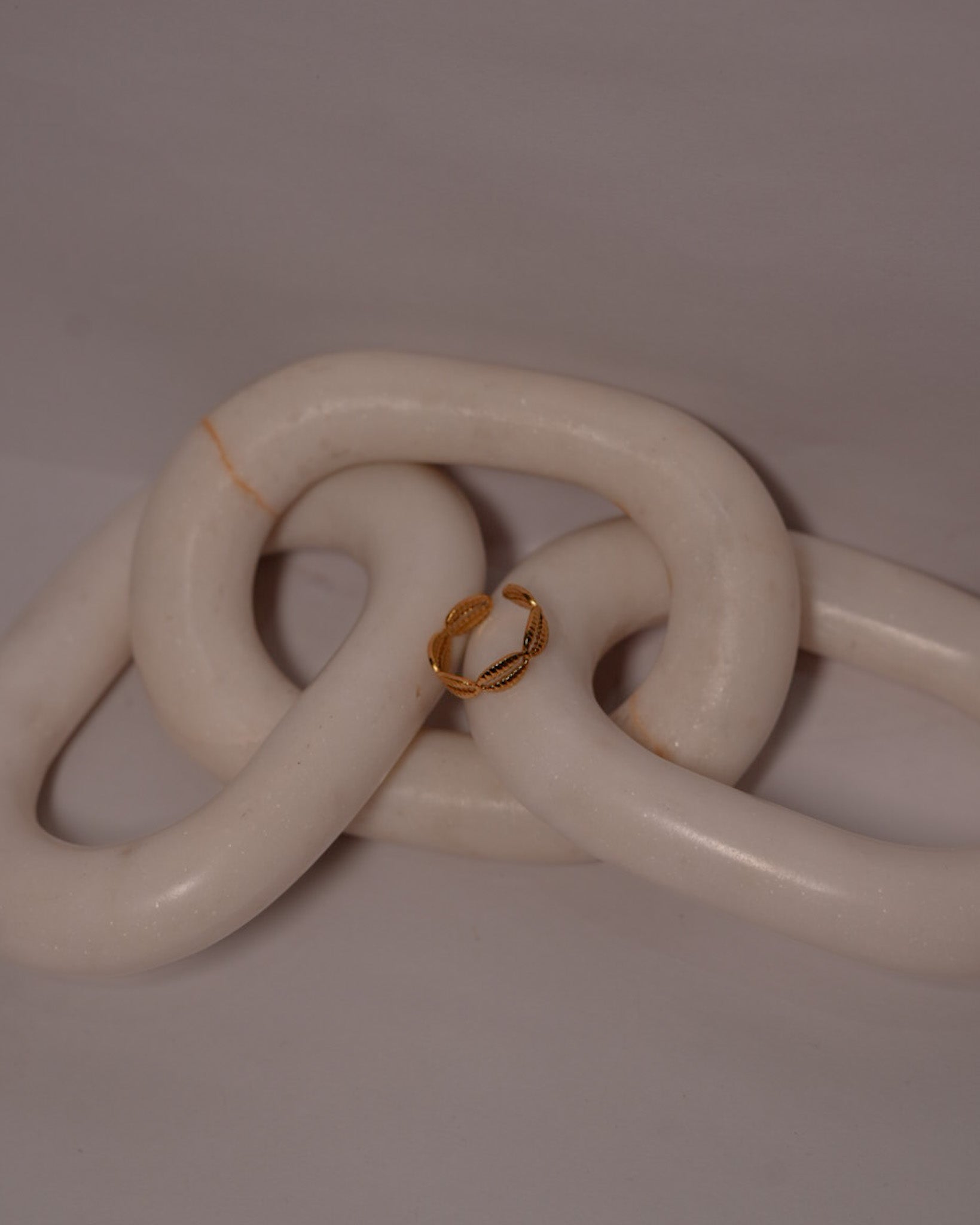 Coffee Bean Ring
