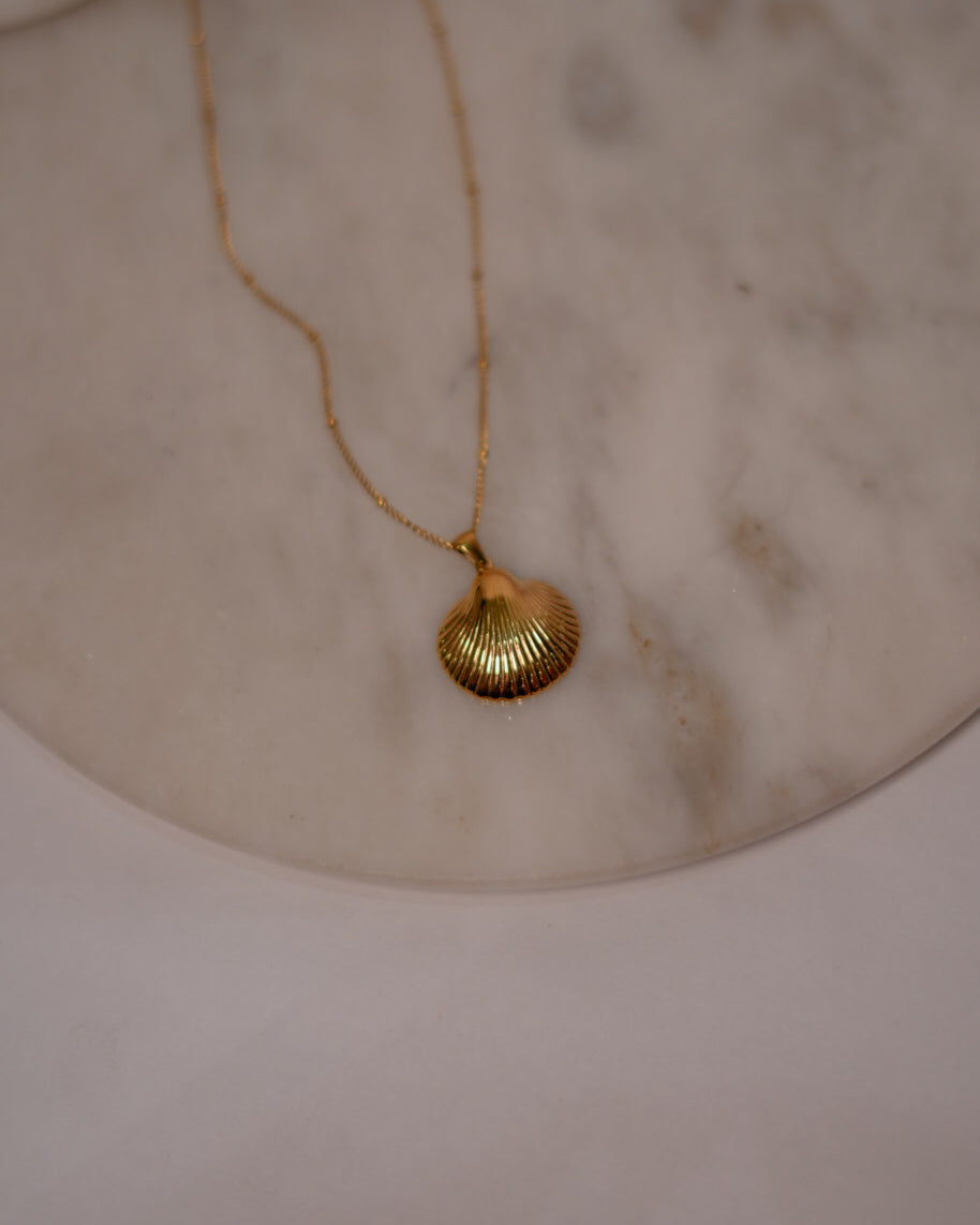 Shell Pendant
